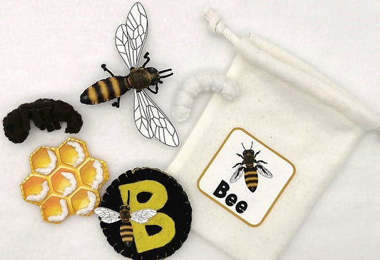 Felt Life Cycles 58-Piece Set