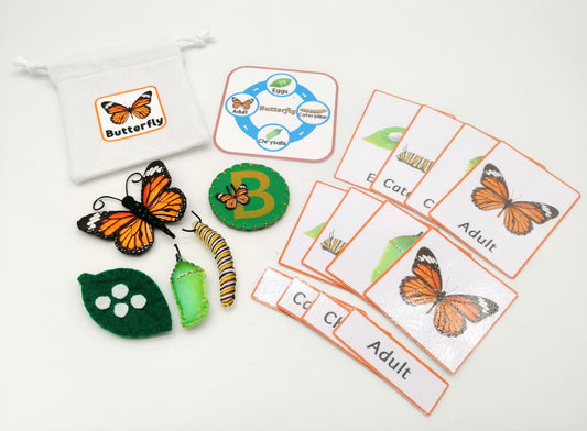 Rubys & Pennys Life Cycle Learning Set