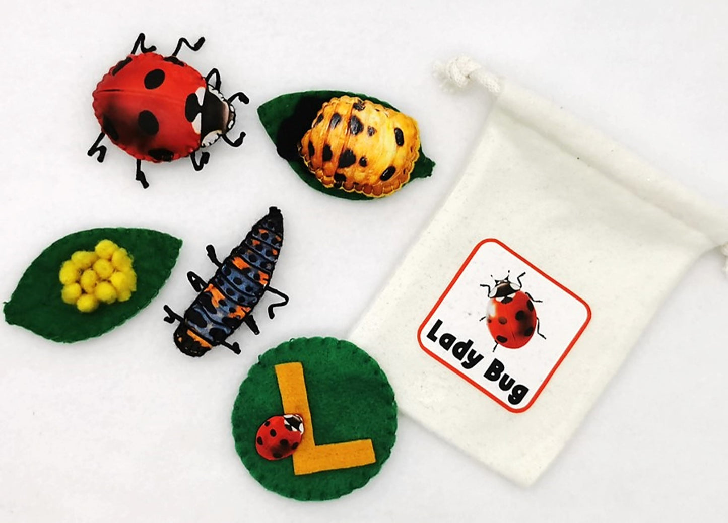 Felt Life Cycles 58-Piece Set